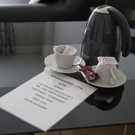 Apartament Lux Viva City 아파트 클루지나포카