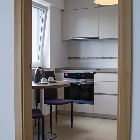 아파트 Apartament Lux Viva City 클루지나포카